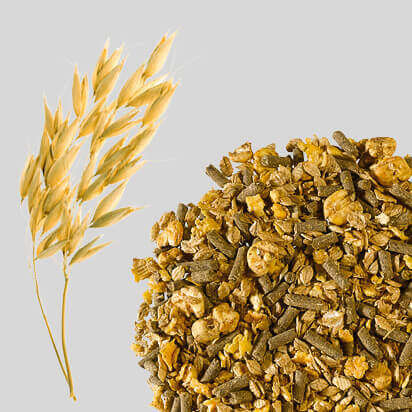 getreidefutter fuer pferde bubblenavibild